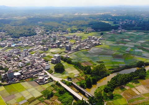 广西：：：农地入市&nbsp;&nbsp;收益共享<br>自然资源部分增强政策指导和手艺服务