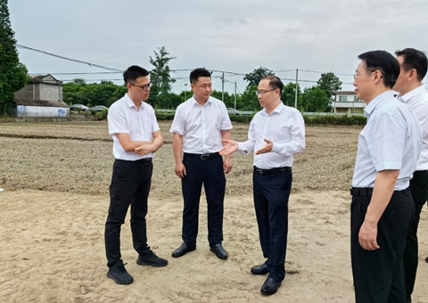 胡云赴眉山调研耕地；；な褂煤透弑曜寂┨锝ㄉ枋虑