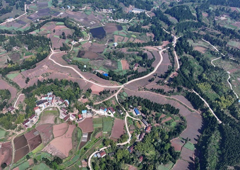 内江市东兴区局周全做好耕地保； 全力做好用地包管