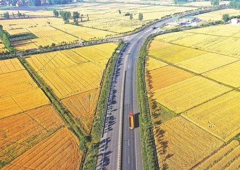 湖北奖励十五个耕保效果突出县（市、区）