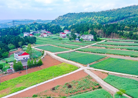 广元市推行“卫星田长”科技助力精准；じ