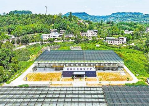 重庆：数智赋能&nbsp;&nbsp;土地结出“智慧果”