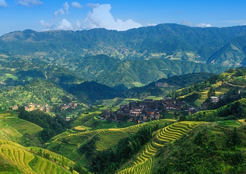 一次性200万元！&nbsp;广西在天下率先实验林权挂号财务资金激励