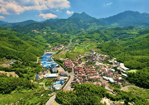 福建深化运用“知、、督、、促”事情机制——靶向发力 护航墟落振兴