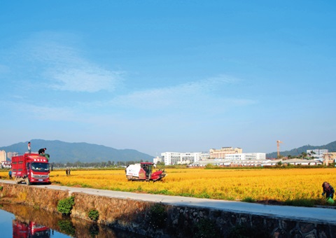 瞭望｜广东：：：“耕”出新动能 “连”出好风物