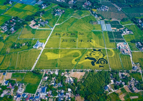 成都宣布耕地；ね！未来10年这样筑牢“天府粮仓”基本