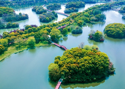 江西省湿地掩护率已达61.99%