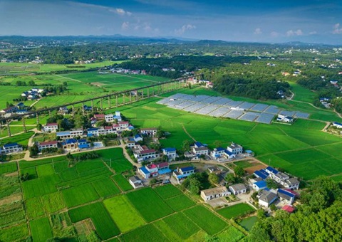 湖南：靶向发力盘活存量土地资产<br>为206家机关企事业单位定制处理方案，盘活土地2.6万亩