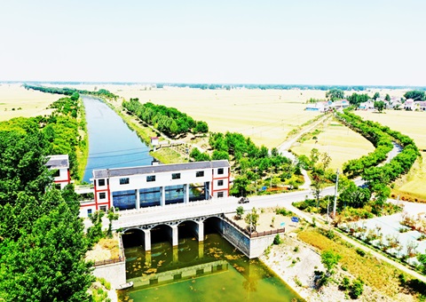 淮北市：：“聘”好驻镇妄想师 做优“陪同式”墟落妄想服务