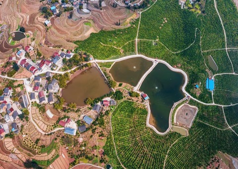 农刊行重庆市分行：投放全市首笔全域土地综合整治贷款