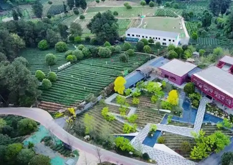 林间“种”出科创空间：四川蒲江用生态颜值撬动经济价值