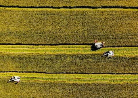 辽宁省耕地地力；；；そ蛱曜汲鎏