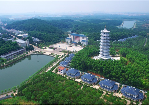 湖北：：：用好“一张图” ，，，智治有支持