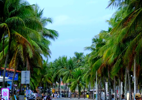 建“清凉都会”，，海南有何“凉方”?