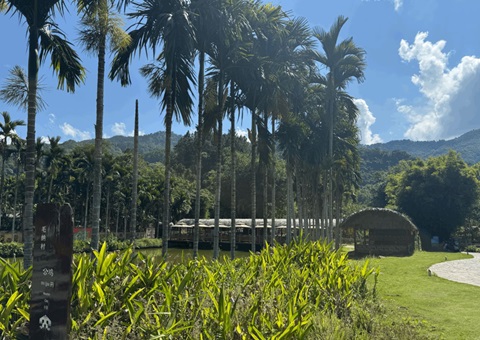 海南探索墟落妄想赋能：：： 用工业“串”起和美墟落“幸福链”