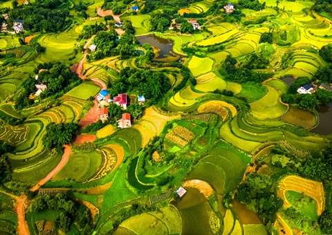 @农民朋侪 2025年重庆市耕地地力；；そ蛱桨咐戳