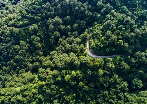 湖南省首例！！！靖州“国有建设用地+VEP”自然资源资产组合项目实现生意