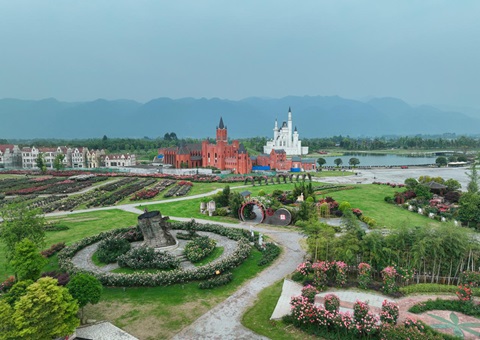 四川德阳修建全链条清静羁系系统助力“森林粮库”可持续生长