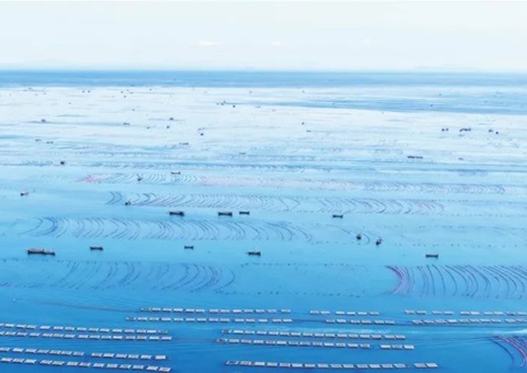 辽宁周全清查海洋资源资产实物量、、价值量、、使用权——摸清海洋“家底儿”