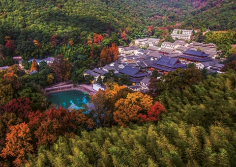 浙江：：森林公园生态旅游怎样高质量生长？？？